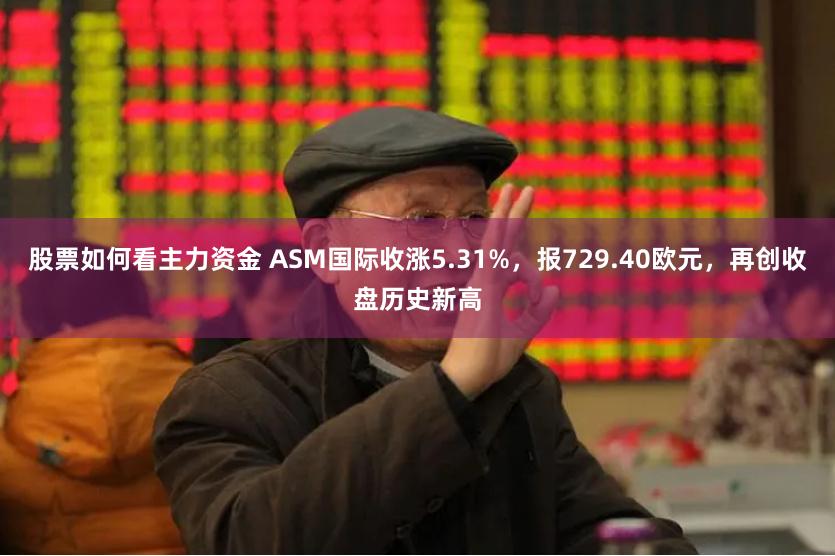 股票如何看主力资金 ASM国际收涨5.31%，报729.40欧元，再创收盘历史新高