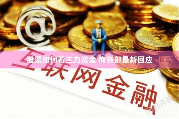 股票如何看主力资金 商务部最新回应